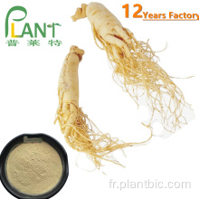 Faible teneur en pesticides extrait de racine de Panax ginseng ginsénosides 80%